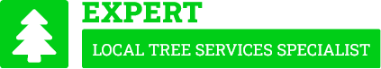 Upper Hutt Tree Removal - Tree Removal Upper Hutt